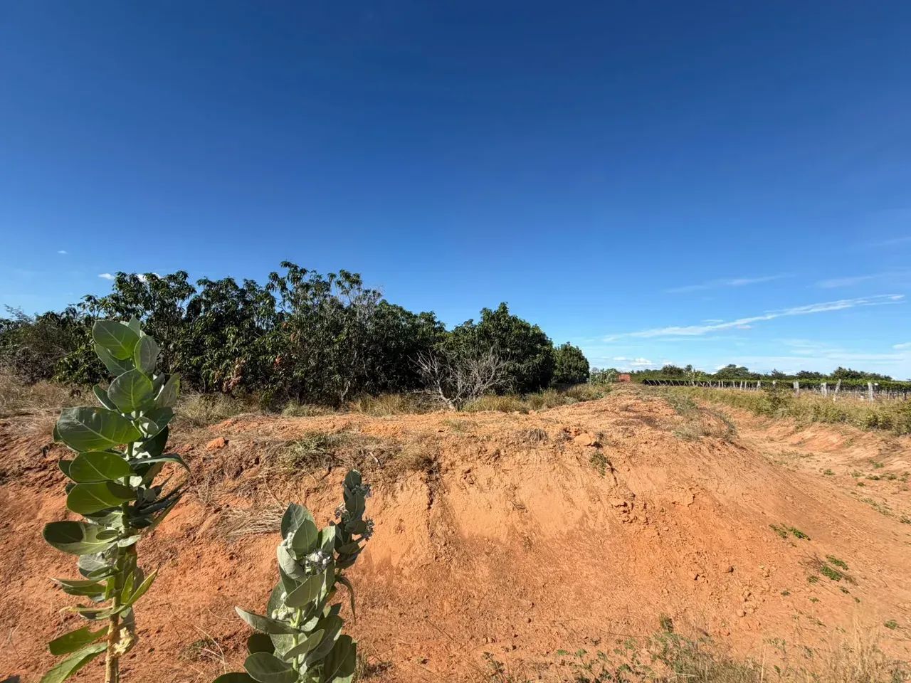 ÁREA RURAL À VENDA! - Foto 5