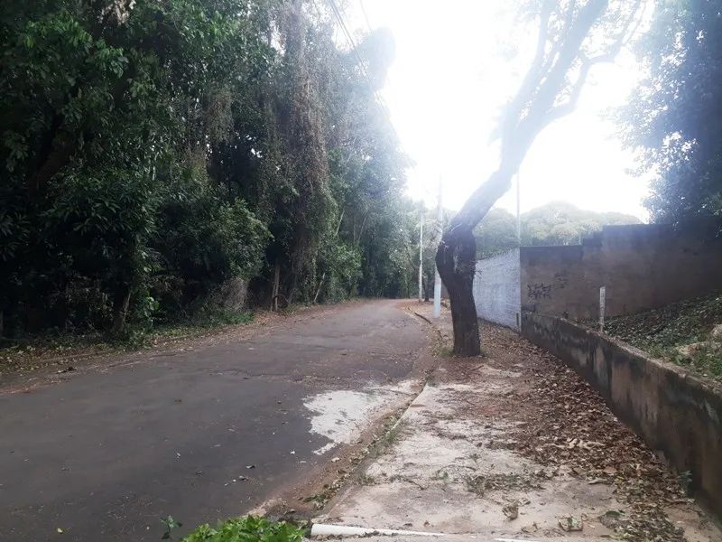 Terrenos e Chácaras - TERRAS DO ENGENHO - Foto 4