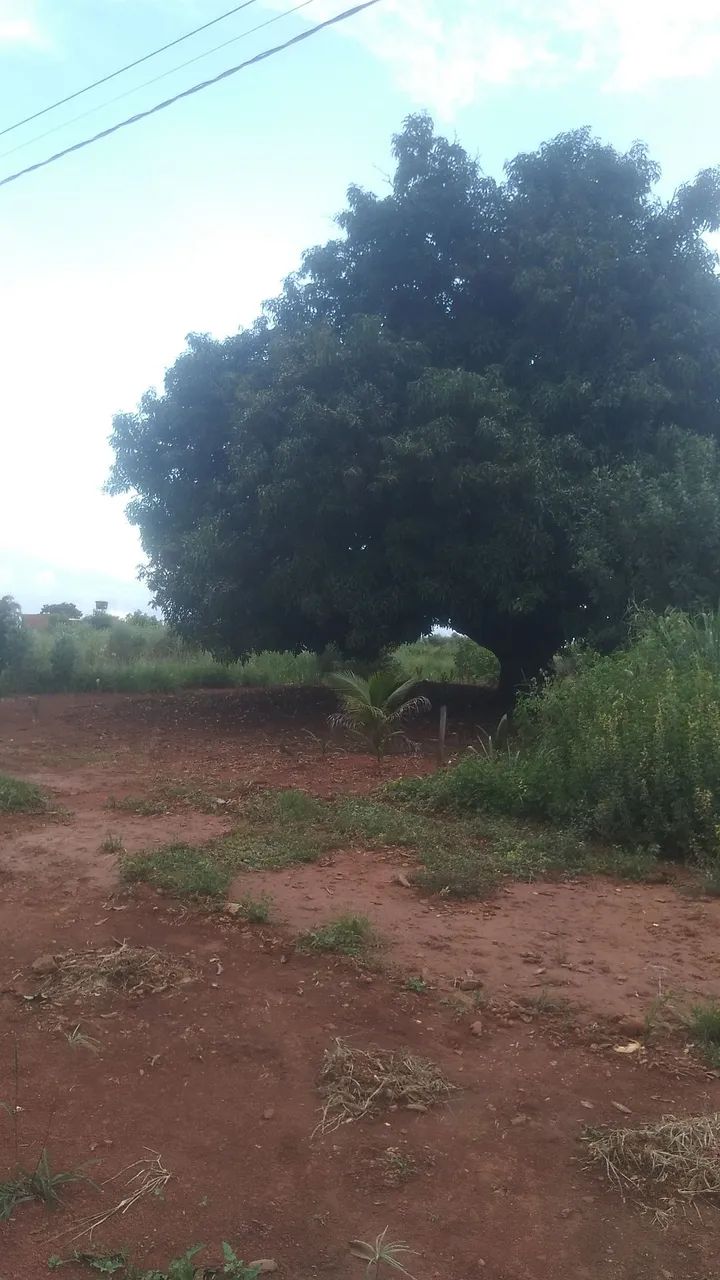 Chácara de 1.400 m² - Foto 3