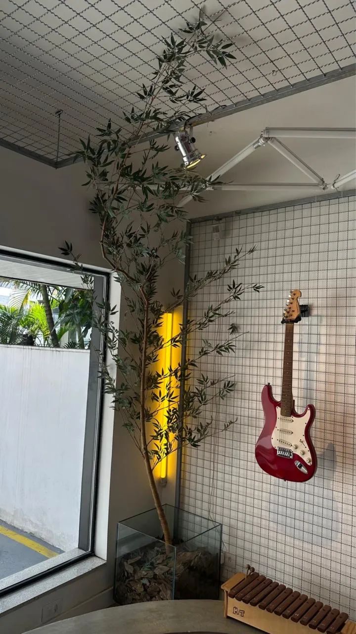 Bamboo Decorativo  - Foto 5
