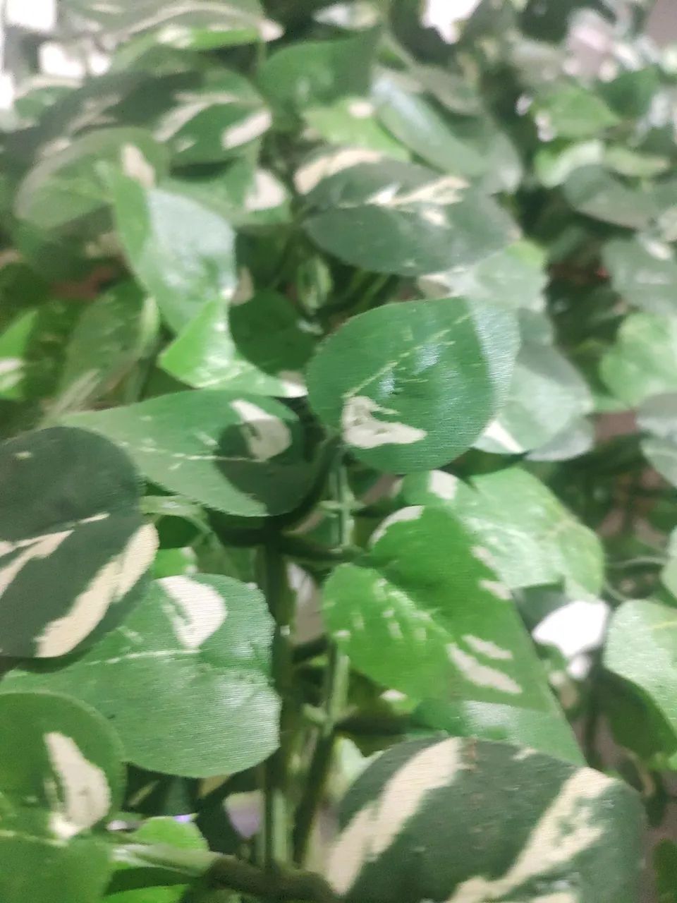 PLANTA ARTIFICIAL JIBÓIA PENDENTE  - Foto 2