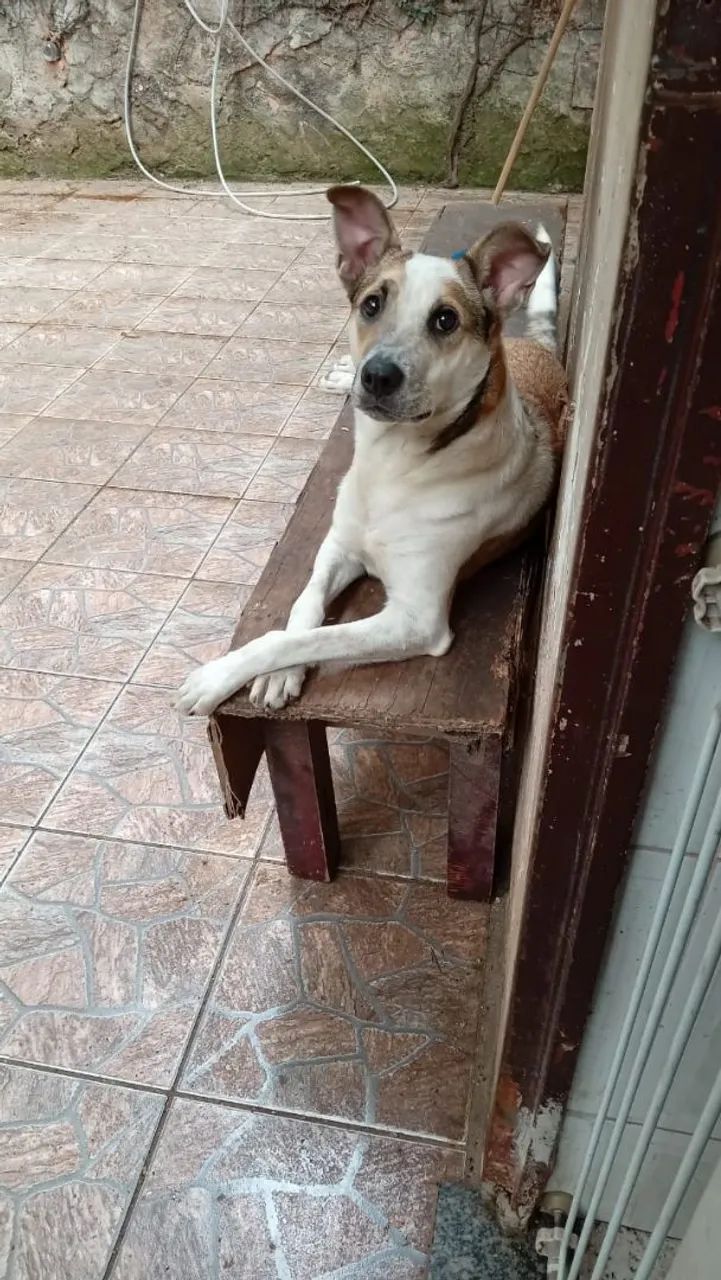 Doação 