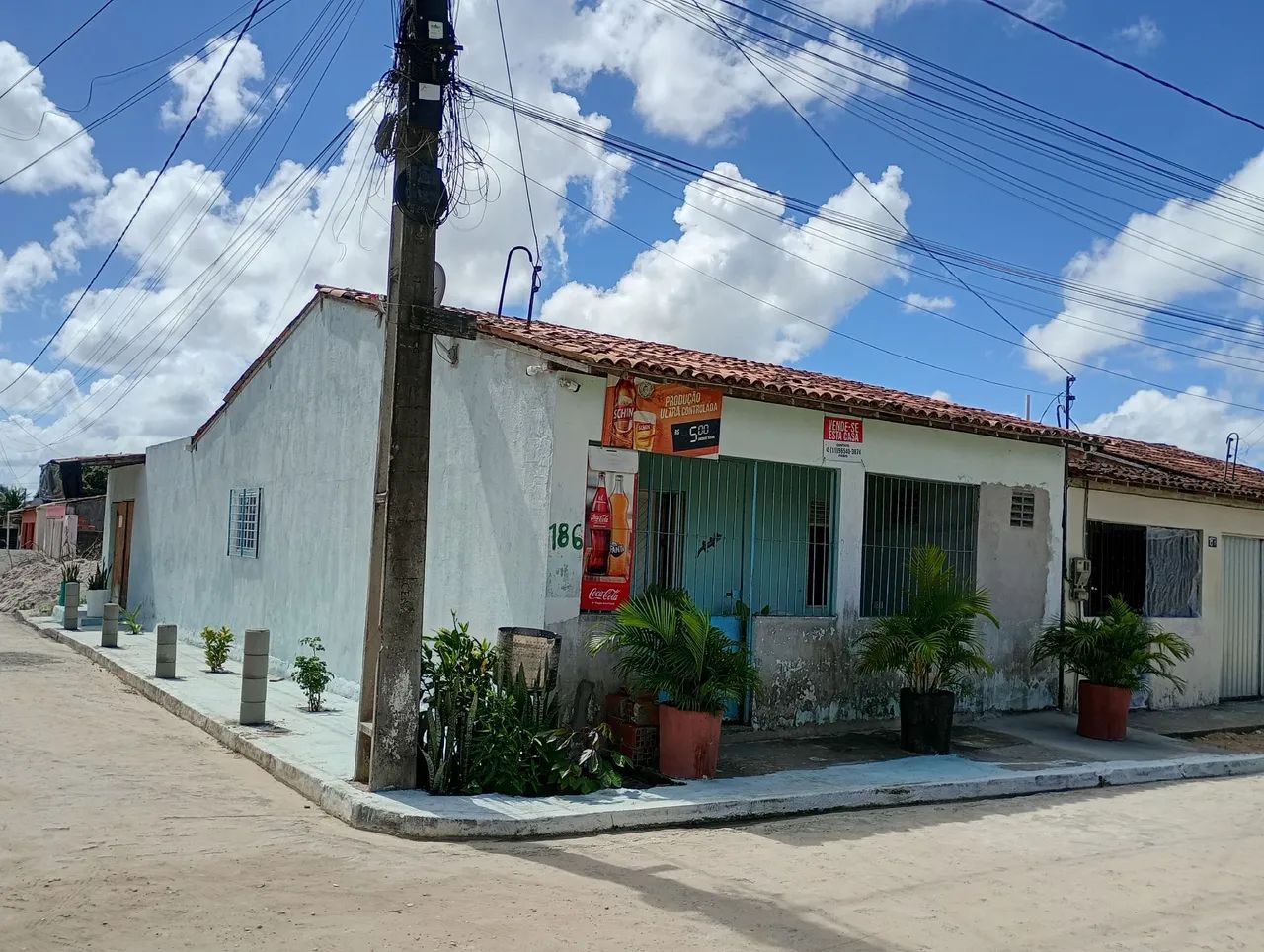Rita  - Foto 4