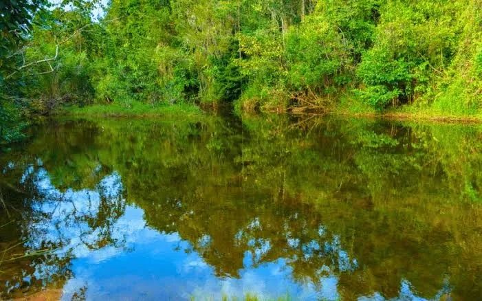 Fazenda em serra grande bahia  - Foto 3