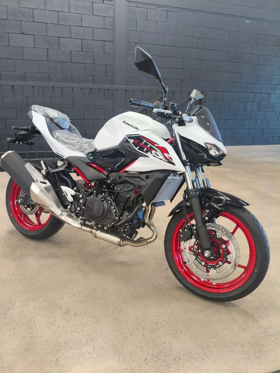 Z500 SE - Foto 4