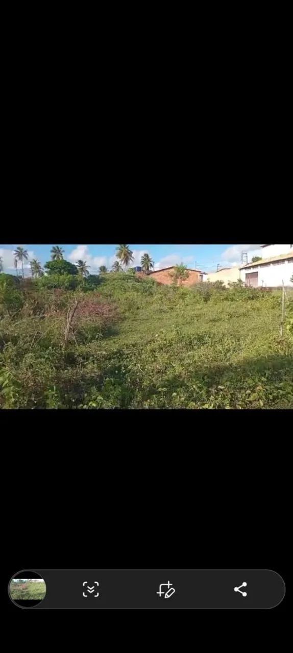 Vende-se terreno no mosqueiro robalo  - Foto 5