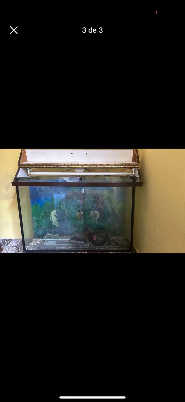 Aquário e acessórios - Foto 2