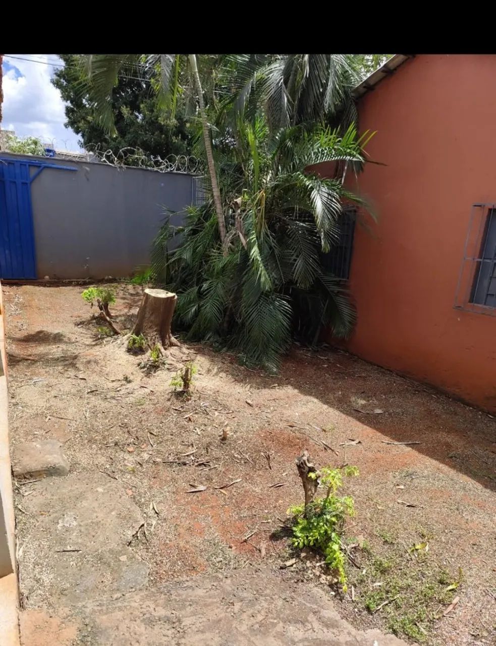 Poda de árvore, residencial na rede elétrica  - Foto 3