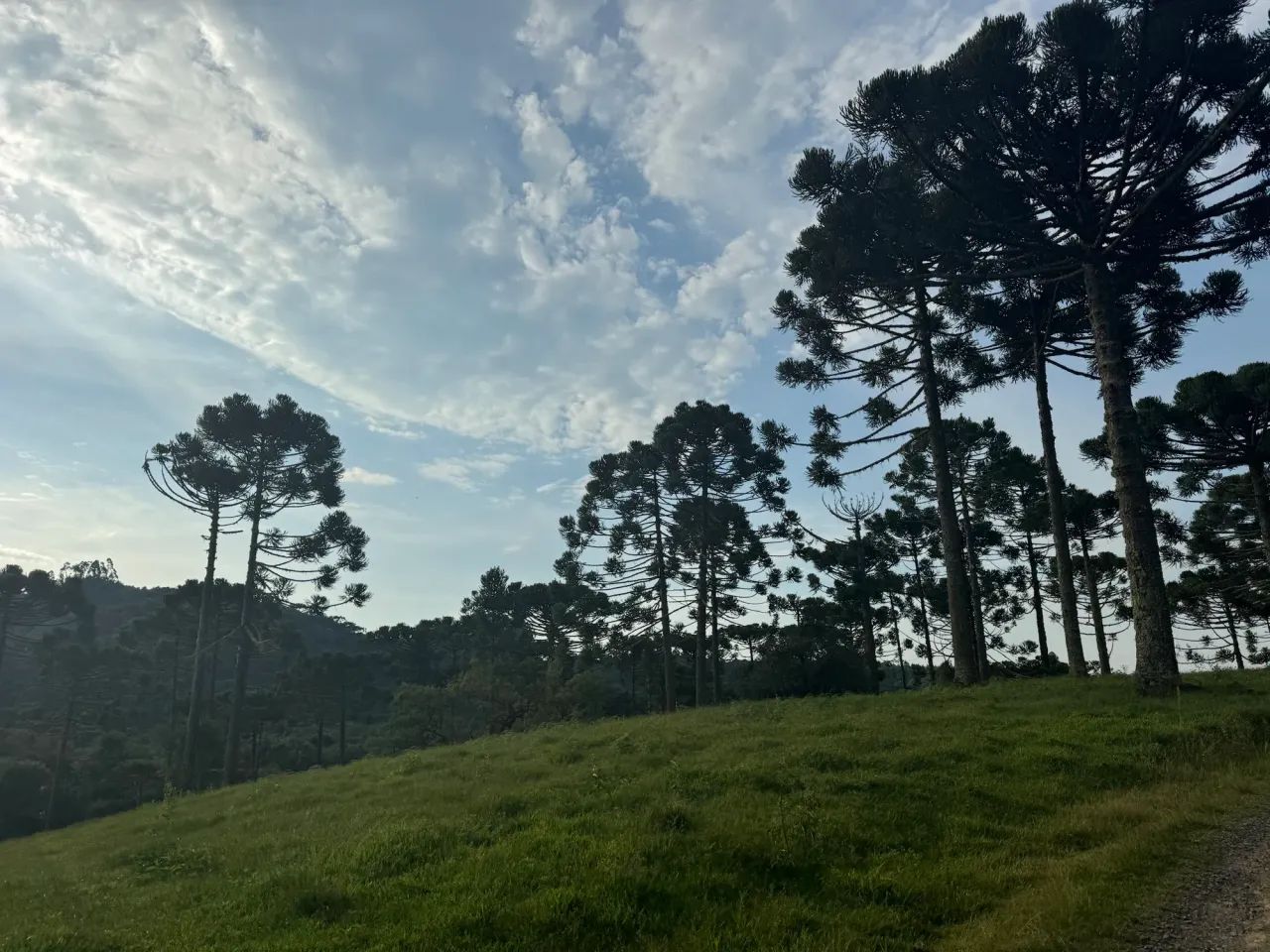 sitio a venda em Rio Rufino - Foto 5