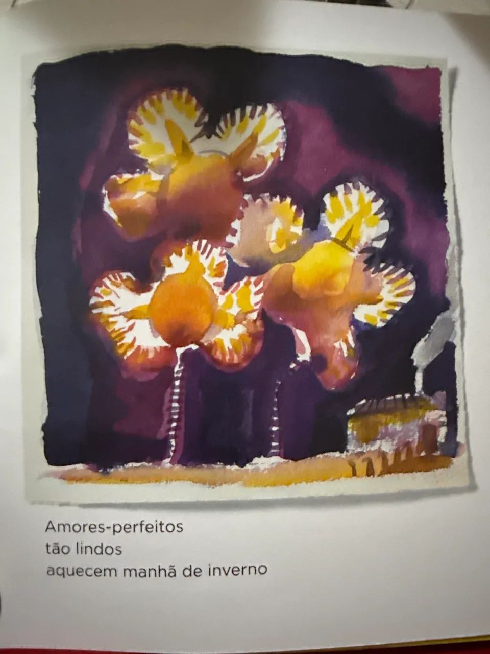 Livro - Foto 3