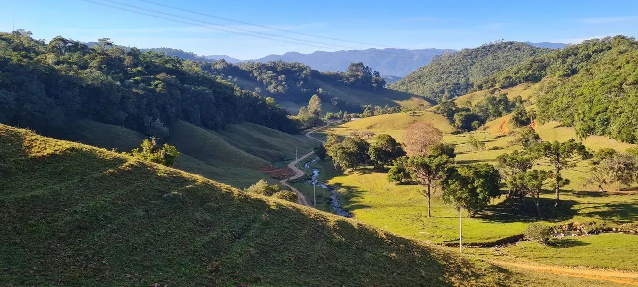 Sitio com linda vista em Águas Mornas - SC - Foto 3