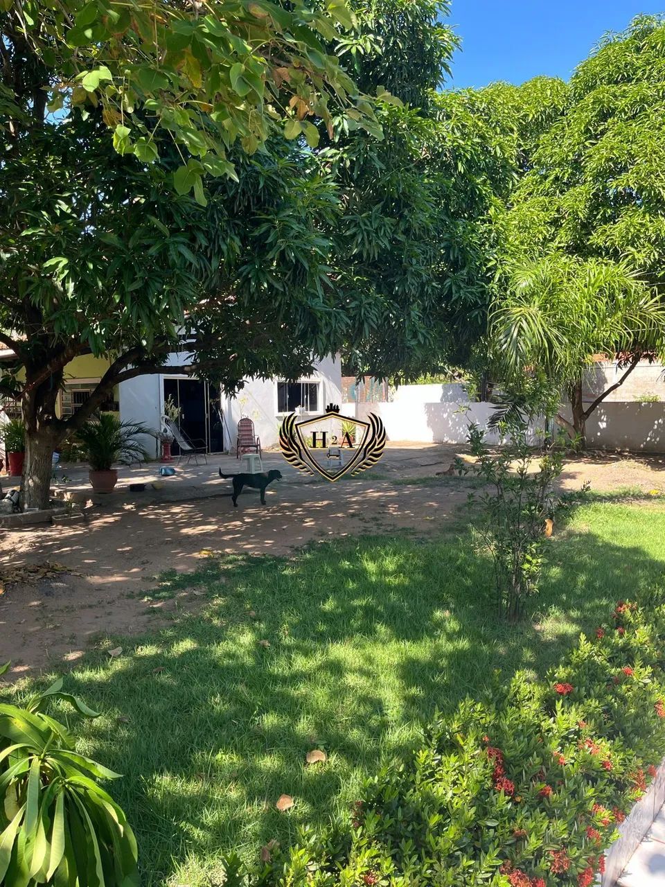 Chácara com 3.200 m² em Santo Antônio do Leverger! - Foto 3