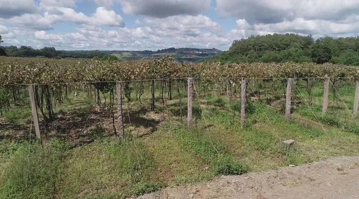 Excelente área de terras - Foto 4