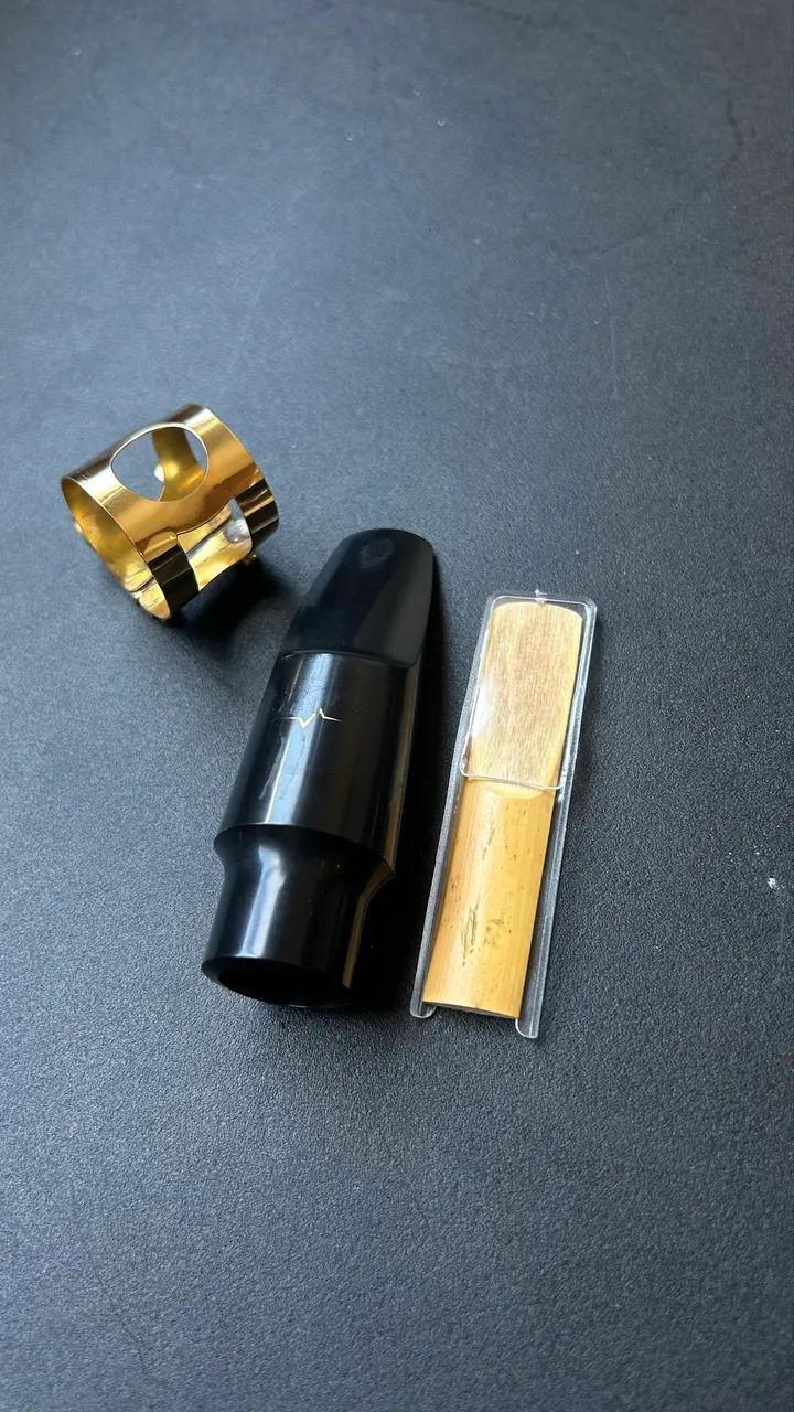 Saxofone Alto Profissional Vogga + Alça de pescoço  - Foto 5