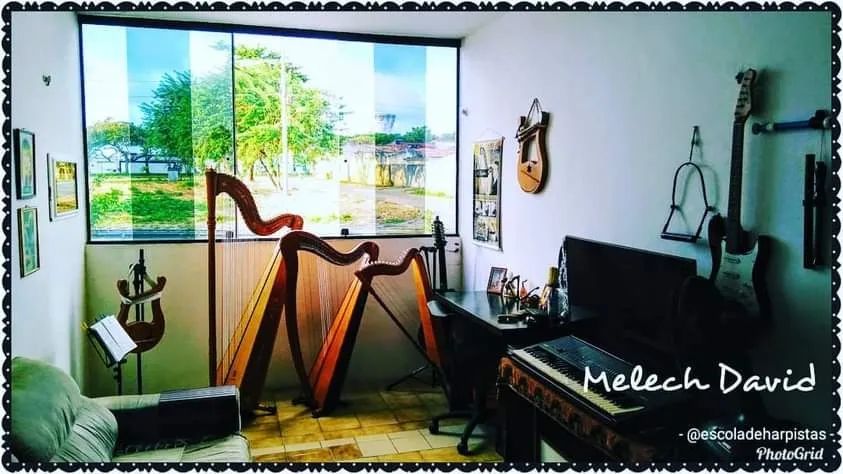 Harpa a venda - Foto 2