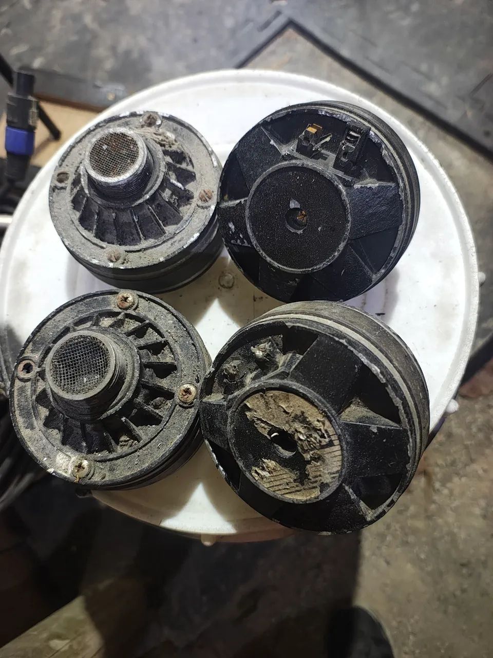 Driver Selenium - D250