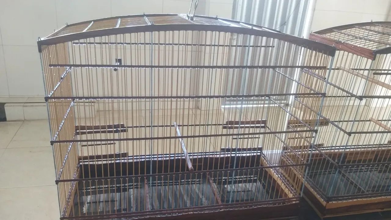 Gaiola  - Foto 3