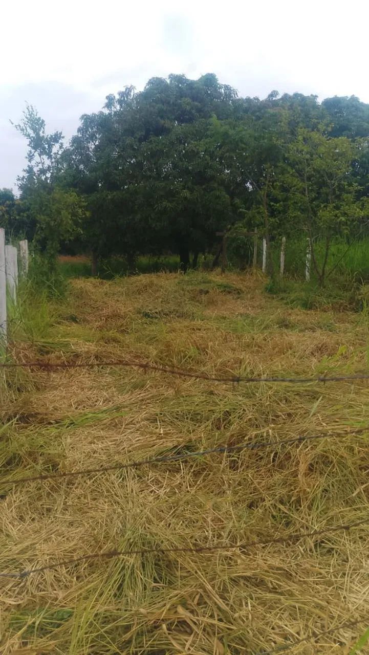 Lote em três Marias  - Foto 4