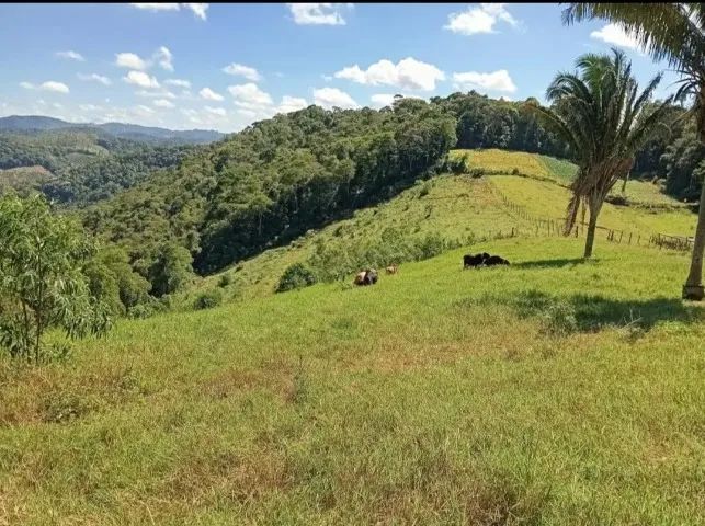 Chácara Um paraíso na terra  - Foto 5