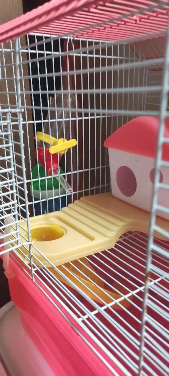 Casinha para hamster 