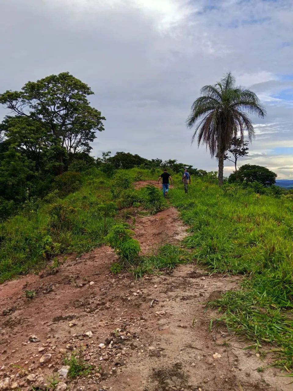 Sítio em Taquaraçu de Minas  - Foto 5