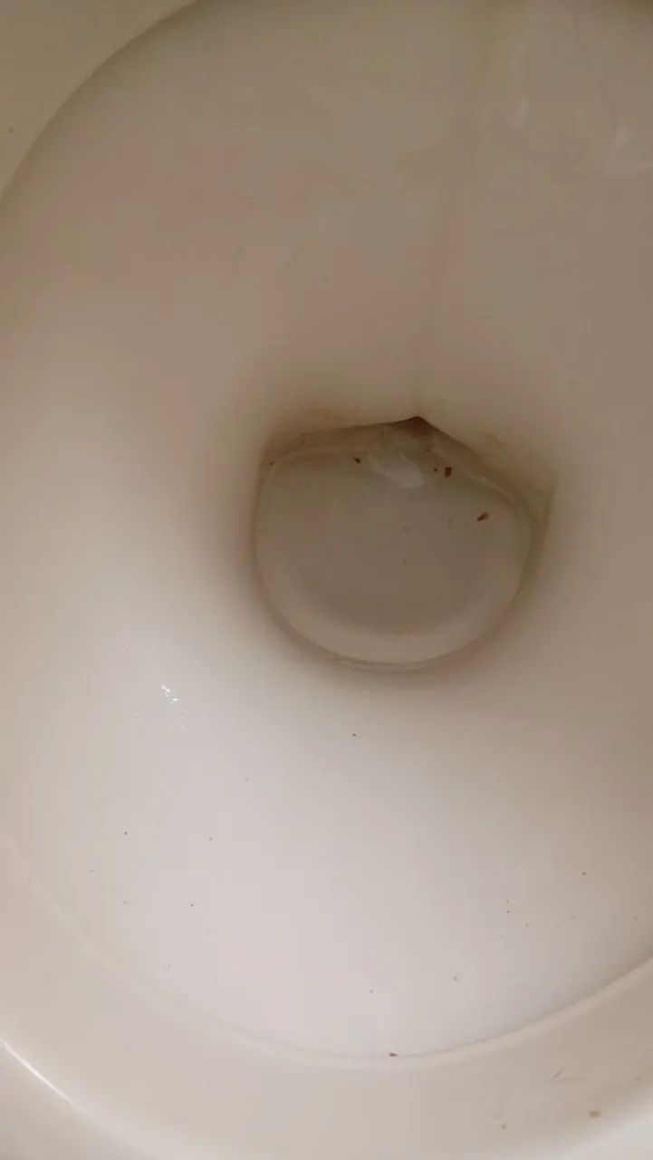 Vende se vaso sanitário mais caixa acoplada semi nova obs retirar em santos 