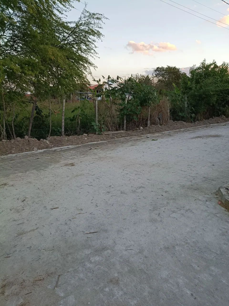 Terreno em Salgadalia  - Foto 2