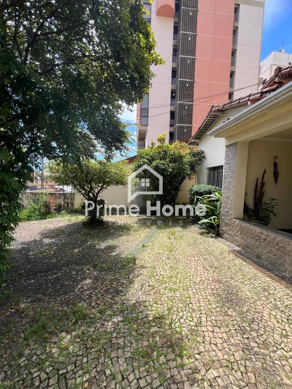 casa - Cambuí - Campinas - Foto 4