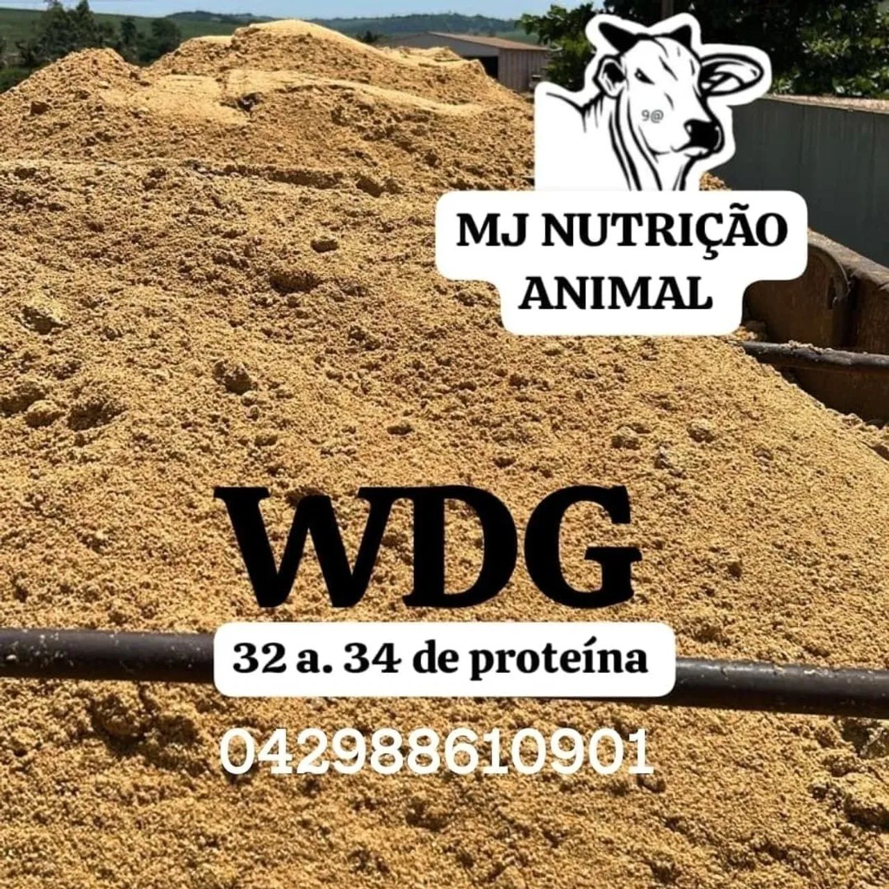 Bagaço de laranja ? - Foto 5