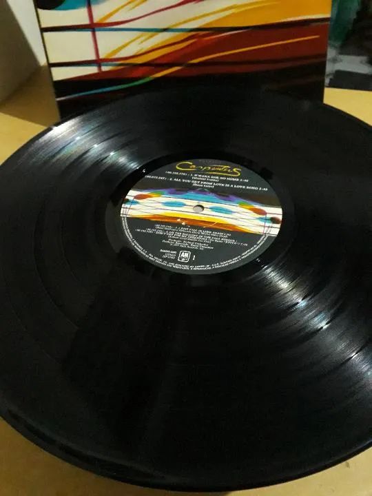 lp carpenters - Foto 4