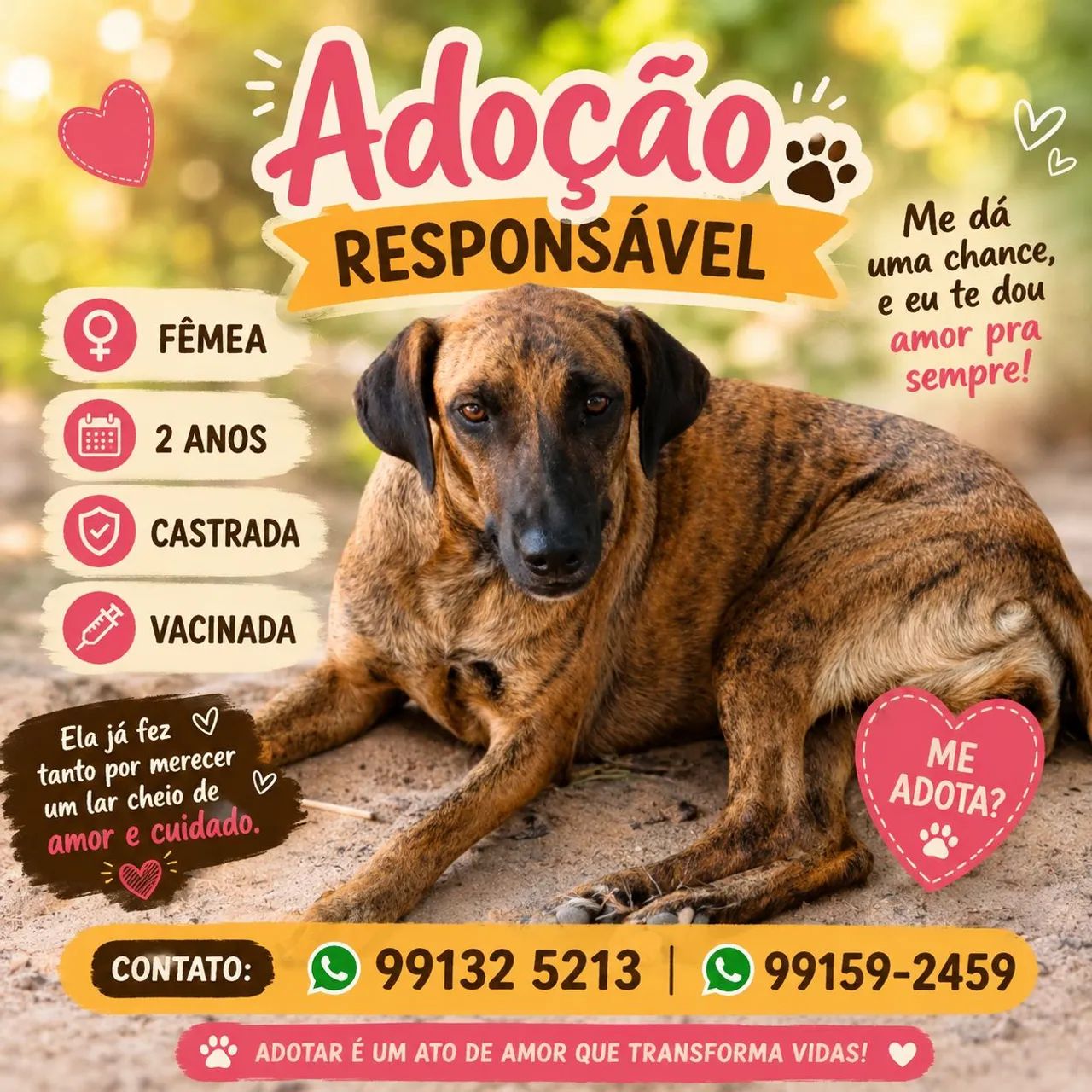 Adoção responsável 