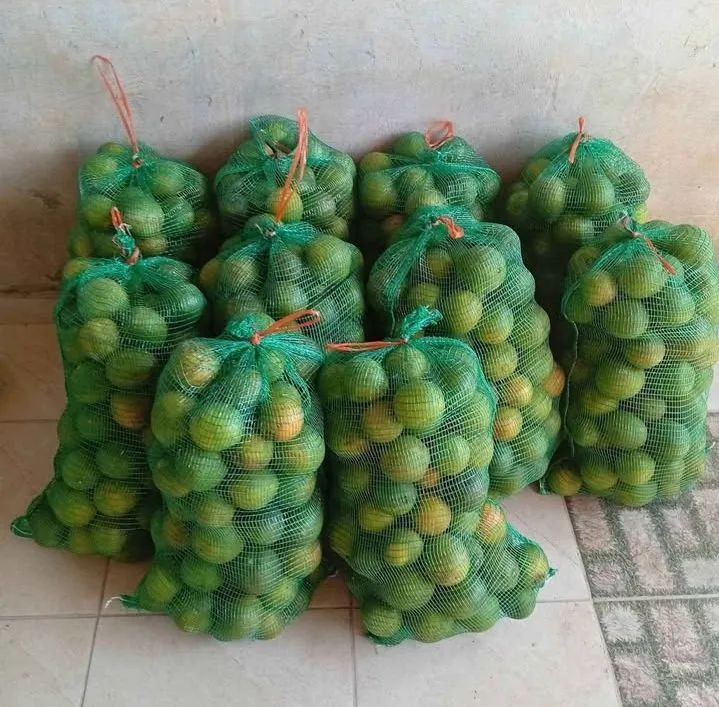 Peça já sua saca de laranja  - Foto 3