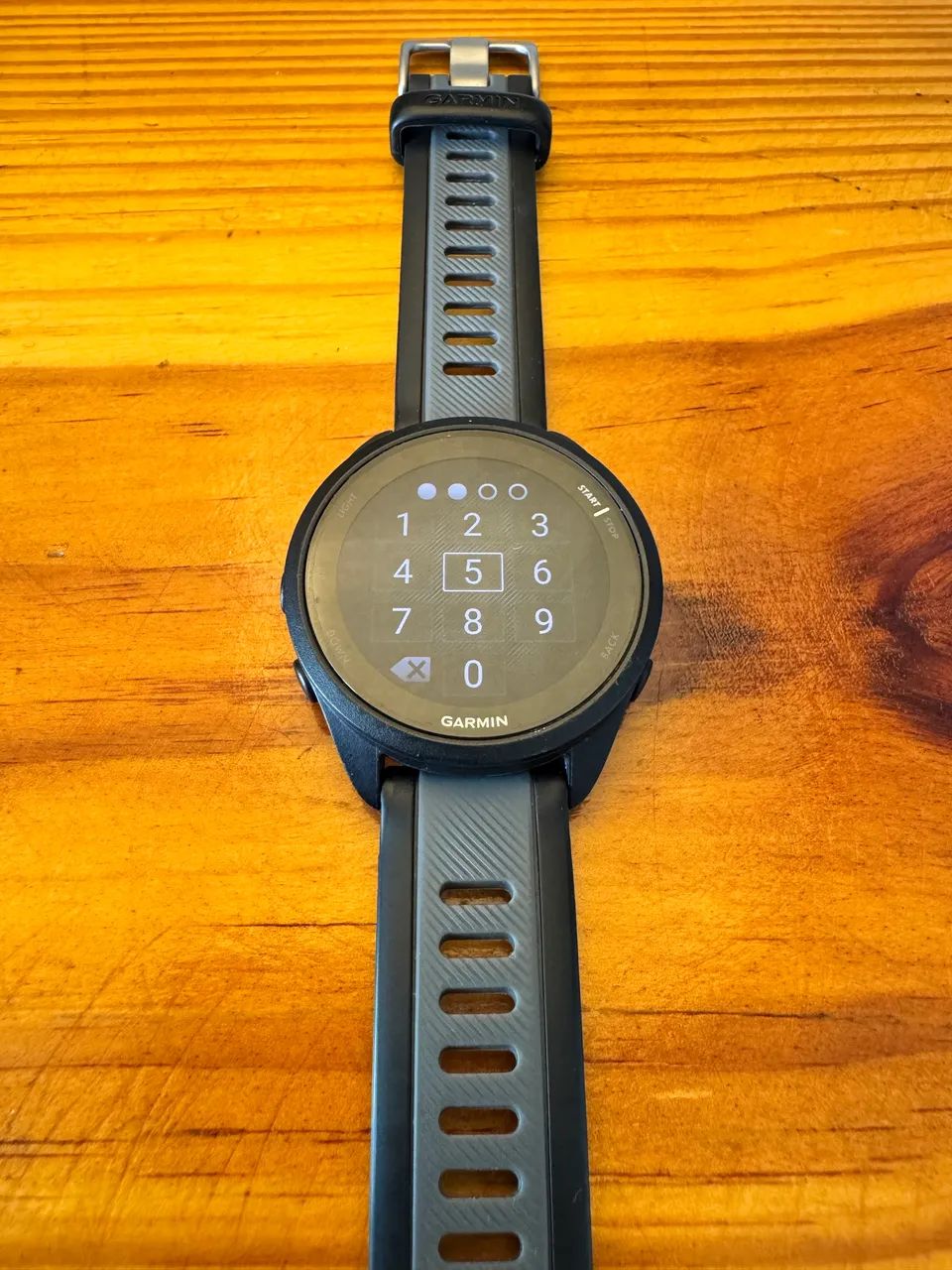 Garmin Forerunner 165