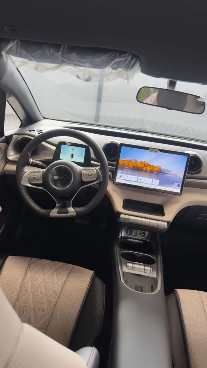 BYD Dolphin GS (Elétrico) 2027 - Foto 5