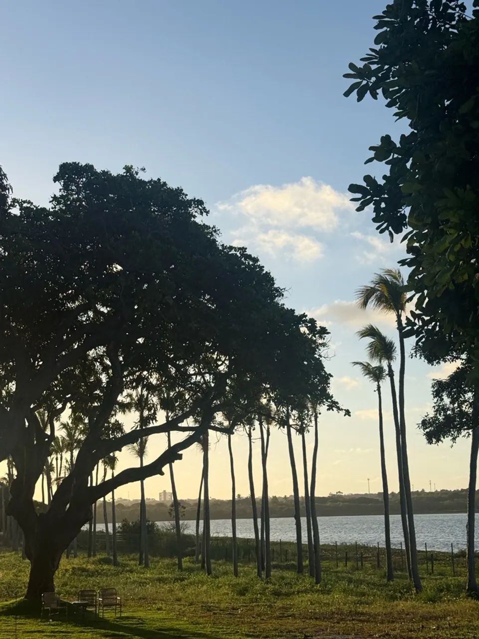 Lote frente lagoa - Vila dos Pássaros Eusébio  - Foto 5