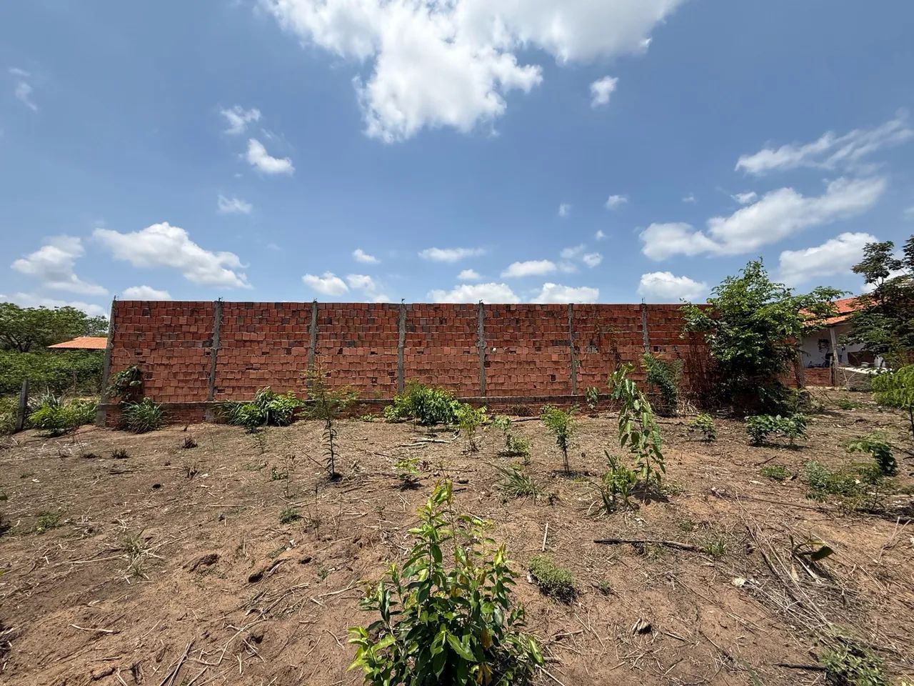 TERRENO EM SÃO MIGUEL-TOCANTINS - Foto 2