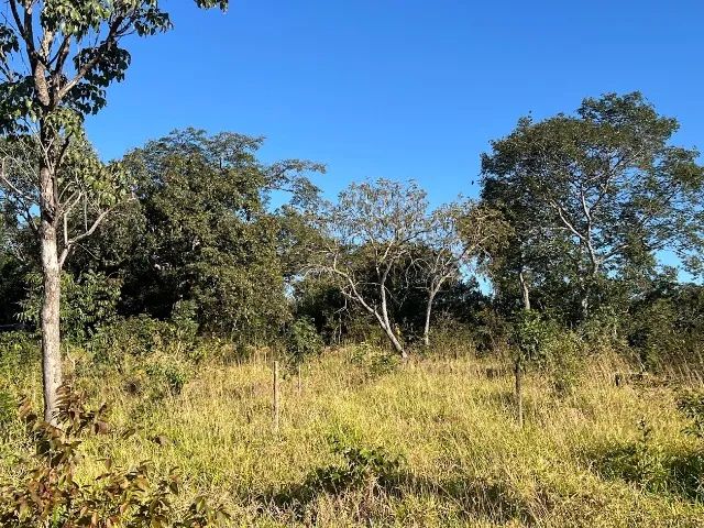 Chácaras 1.500m², R$60mil, Parcelado, Linda Vista, Energia, Cercada, Aragoiânia - Foto 10