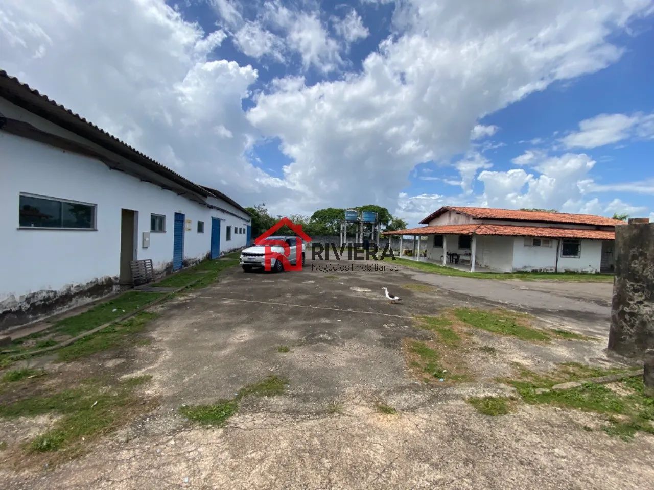 GALPAO COMERCIAL em SÃO LUÍS - MA, DISTRITO INDUSTRIAL - Foto 3
