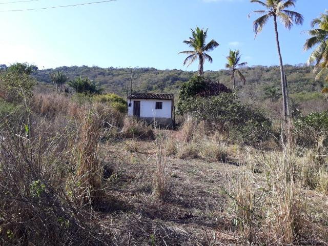 Ótima propriedade de 50 hectares, escriturada e registrada,a 4 km da pista de Pombos-PE - Foto 14
