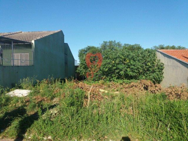 Terreno residencial à venda, rincão da madalena, gravataí - . - Foto 2