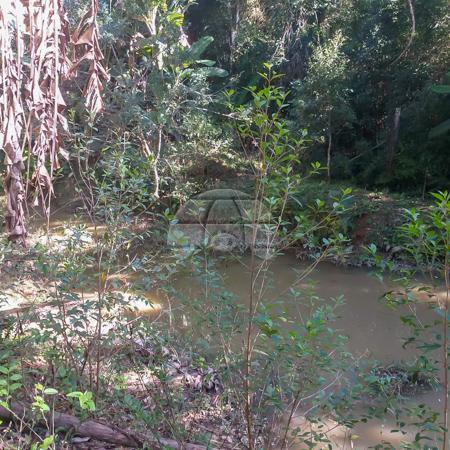 Chácara à venda em Borda do campo, São josé dos pinhais cod:152480 - Foto 10