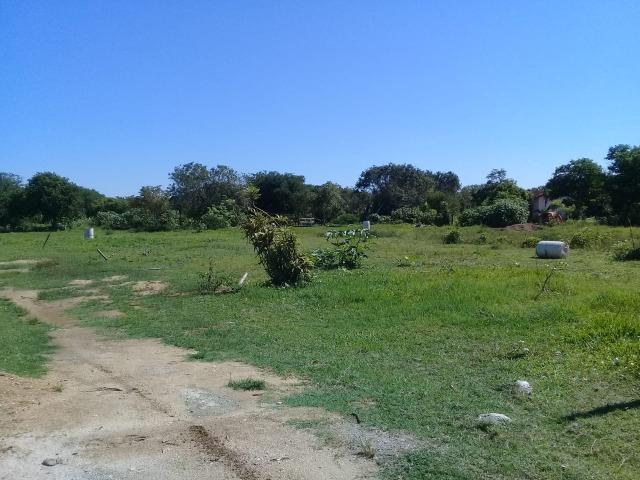 L- 1 de Janeiro!! - Foto 7
