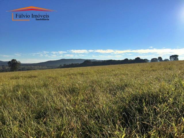 Belíssima fazenda, 110hectares, próximo de Caldas Novas, casarão rústico, rica em água - Foto 13