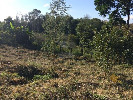 Terreno à venda em Centro, Colombo cod:300-17 - Foto 7