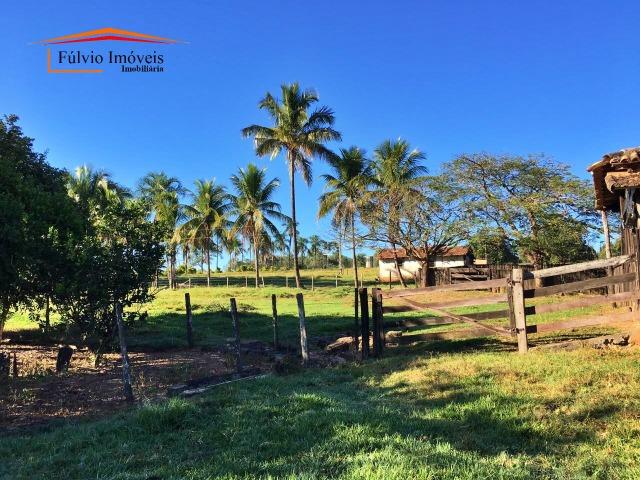 Belíssima fazenda, 110hectares, próximo de Caldas Novas, casarão rústico, rica em água - Foto 8