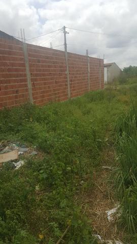 Vendo esse terreno na rua carlos aleluia barrio rua da umburana - Foto 2