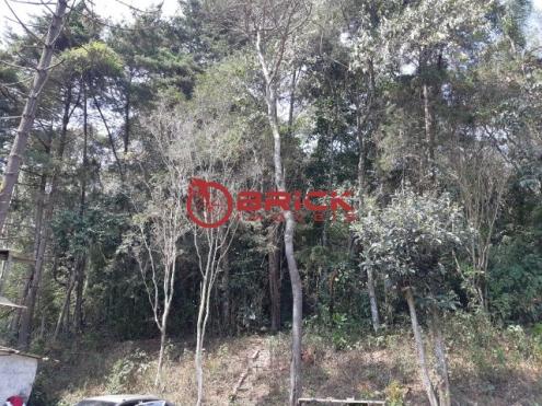 Terreno com 1200 m² com pequena casa no jardim salaco. - Foto 4