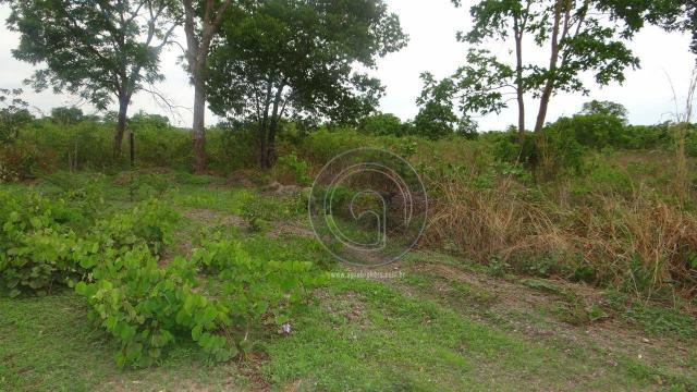 Terreno pra investimento pedra 90 - Foto 4
