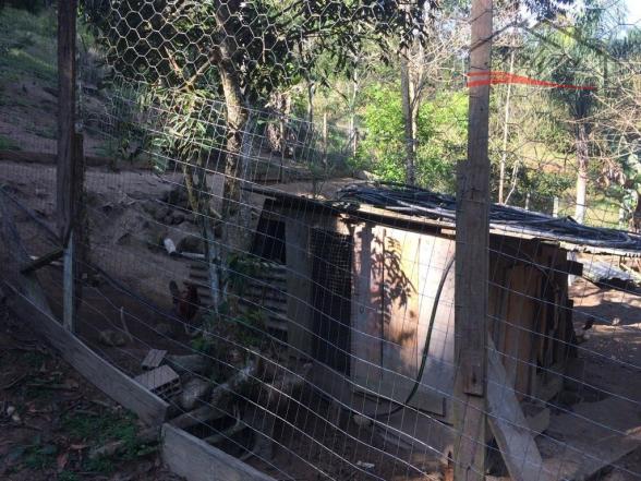 Sítio à venda em Pagará grande, Santo amaro da imperatriz cod:120 - Foto 12