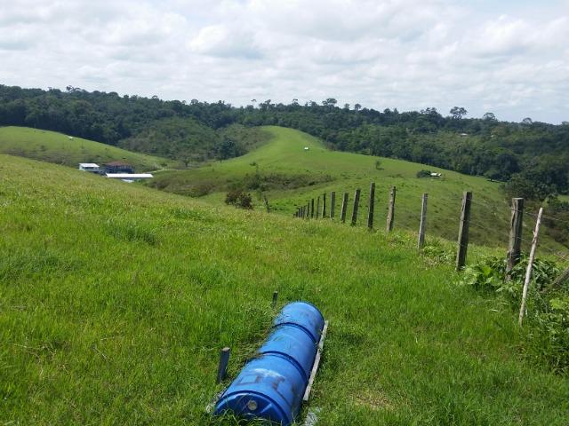 Fazenda na AM 010 - Foto 4